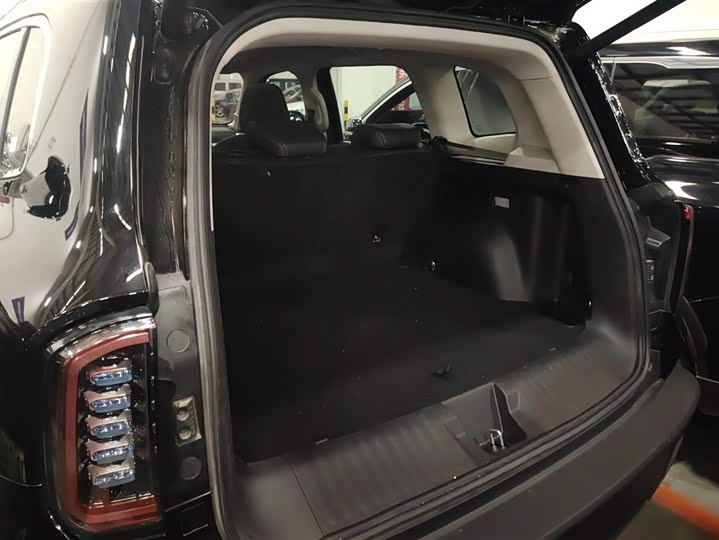 Фото 4 - Haval Dargo