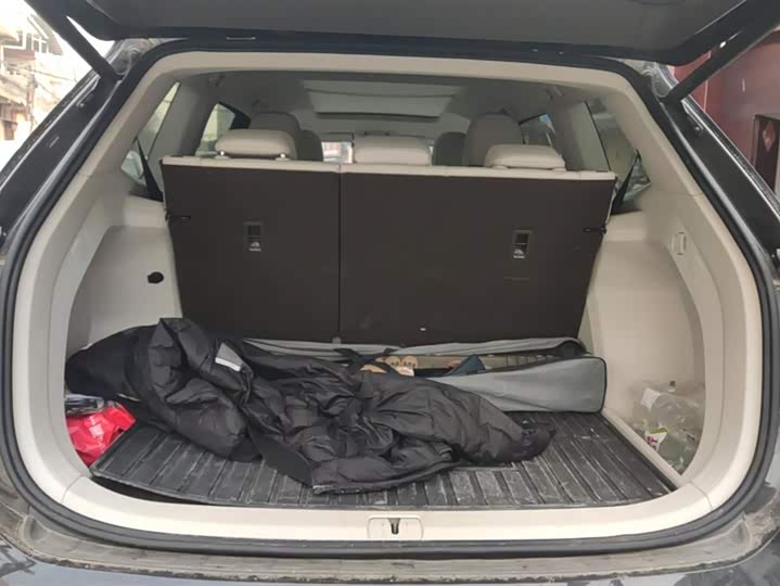 Фото 4 - Volkswagen Viloran