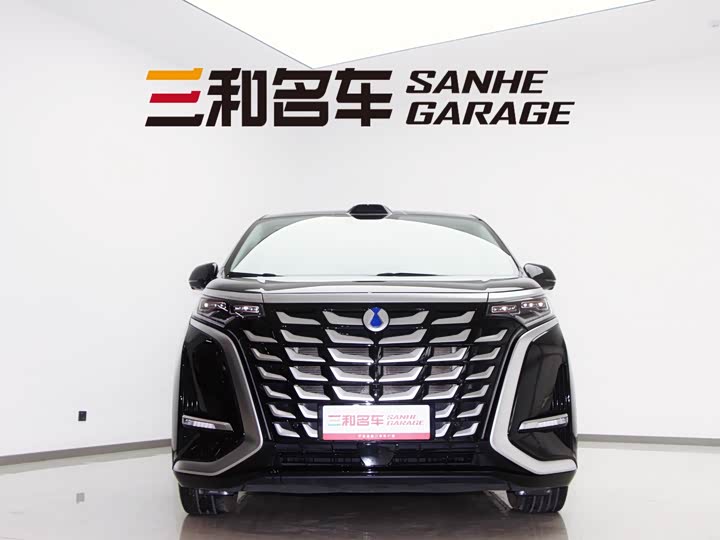 Фото 2 - Denza D9