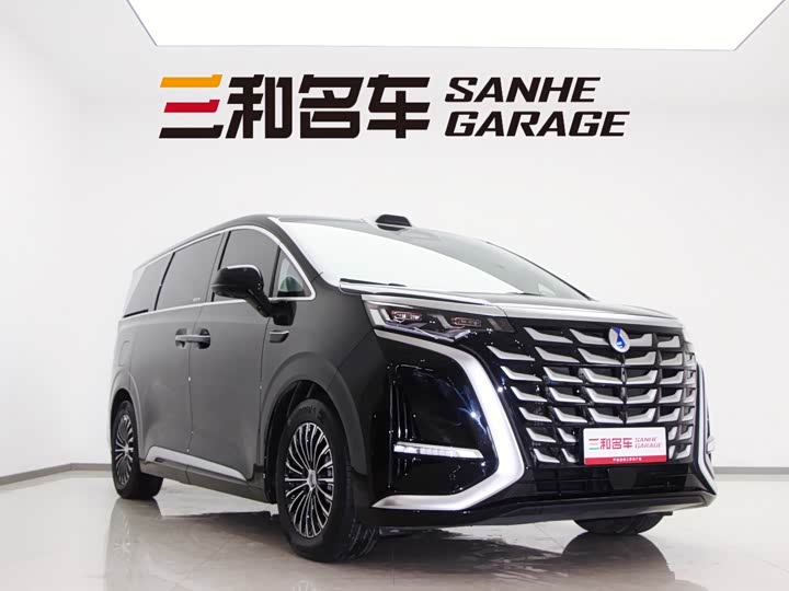 Фото 3 - Denza D9