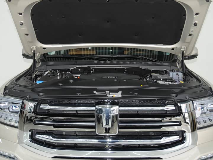 Фото 6 - Tank 500 Hybrid