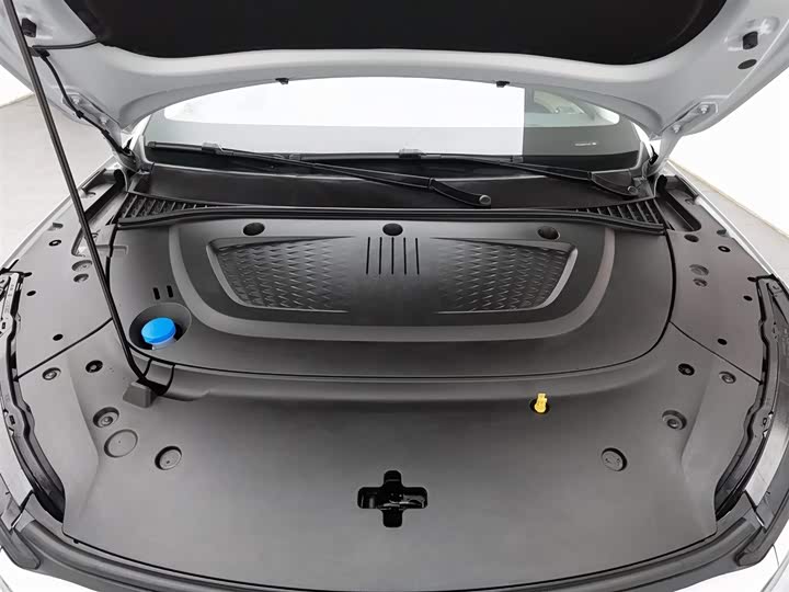 Фото 6 - BYD Yuan Plus