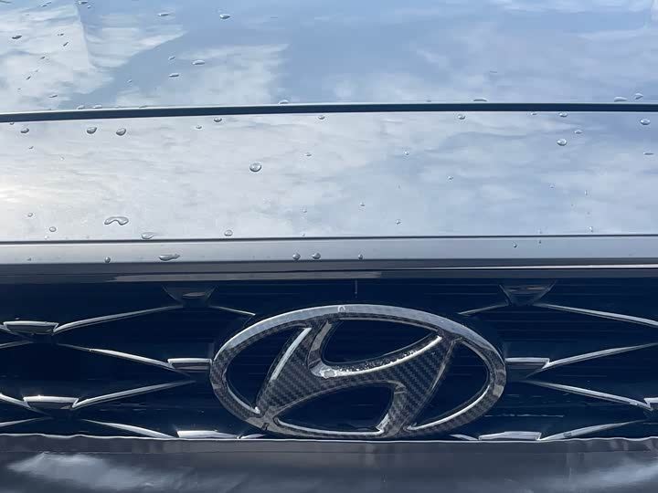 Фото 5 - Hyundai Lafesta