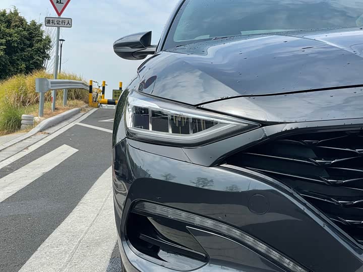 Фото 6 - Hyundai Lafesta