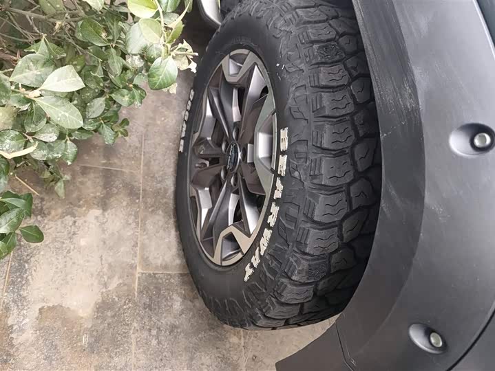 Фото 6 - Haval Dargo