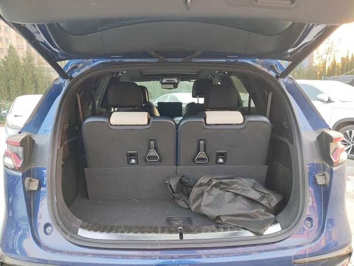 Фото 9 - BYD Tang Hybrid/EV