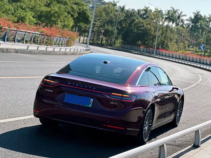 Фото 4 - Stelato S9