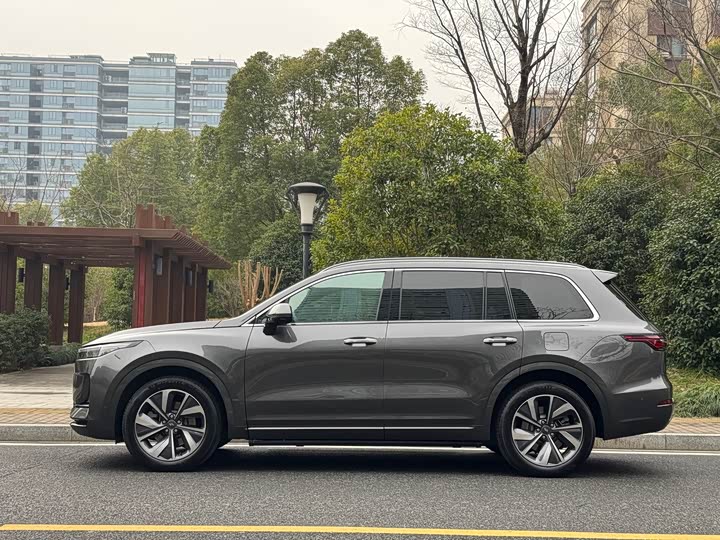 Фото 3 - LiXiang One