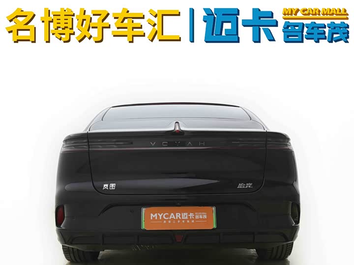 Фото 5 - Voyah Passion