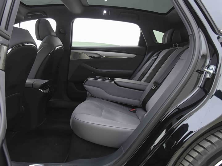 Фото 7 - Voyah Passion