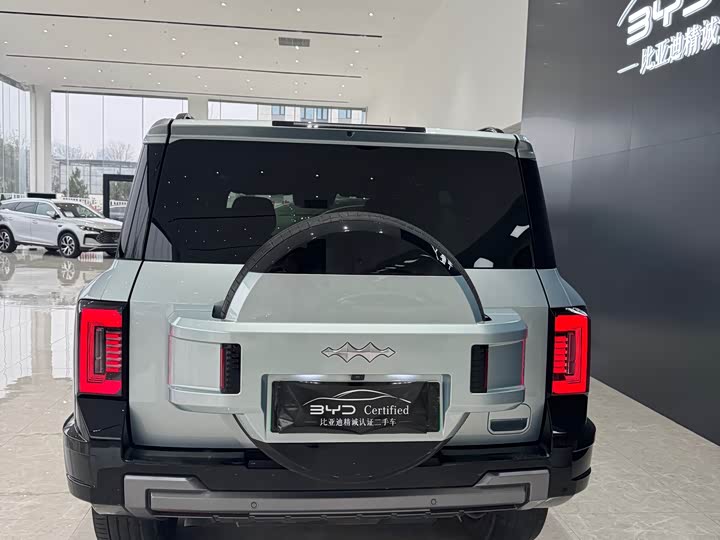 Фото 8 - BYD FangChengBao Leopard 8