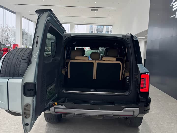 Фото 9 - BYD FangChengBao Leopard 8