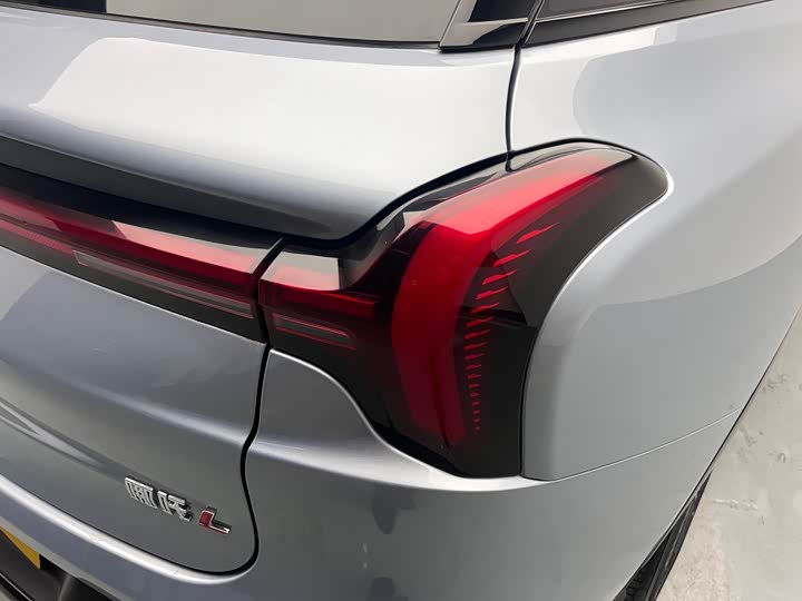 Фото 8 - Hozon L