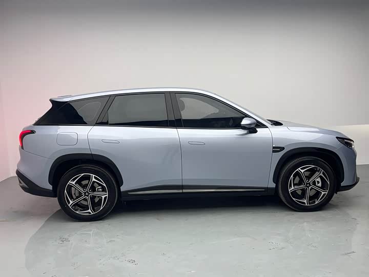 Фото 9 - Hozon L