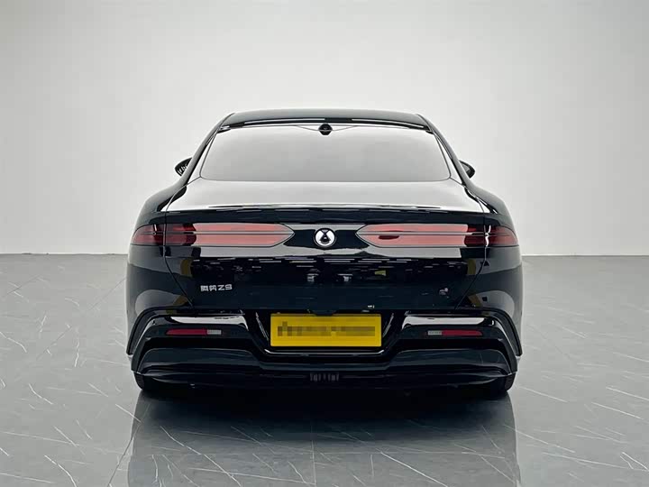 Фото 5 - Denza Z9