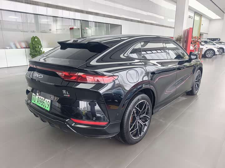 Фото 5 - BYD Song L