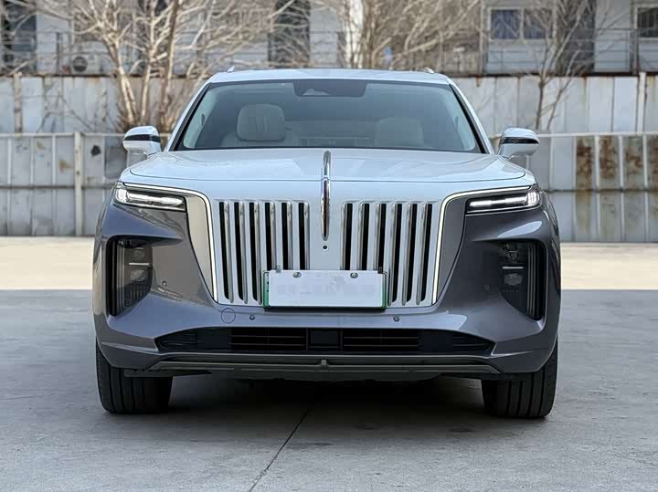 Фото 2 - Hongqi E-HS9