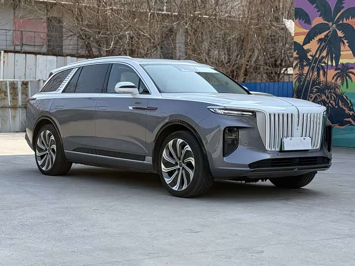 Фото 3 - Hongqi E-HS9