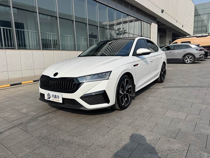 Фото 1 - Skoda Octavia Pro