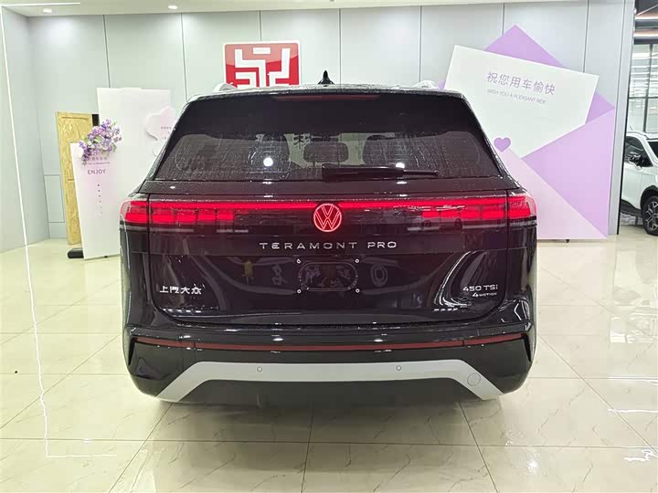 Фото 5 - Volkswagen Teramont Pro