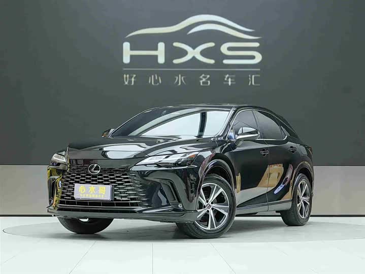 Фото 1 - Lexus RX