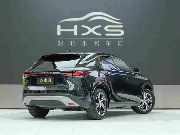 Фото 4 - Lexus RX