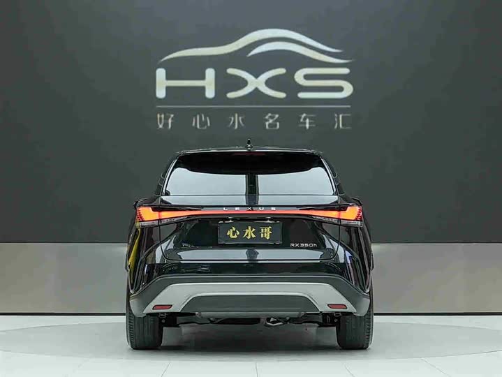 Фото 5 - Lexus RX