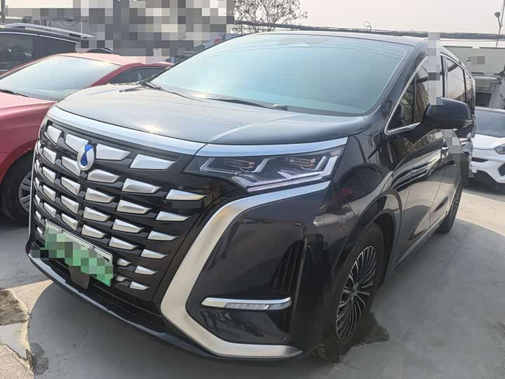 Фото 1 - Denza D9