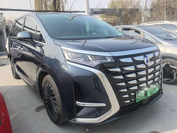 Фото 3 - Denza D9