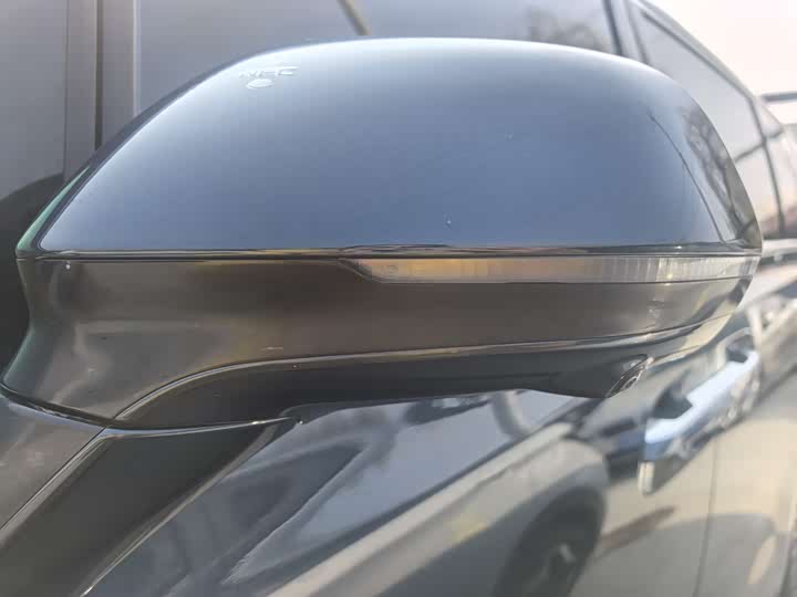 Фото 4 - Denza D9