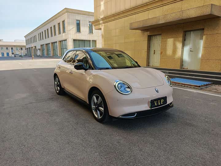 Фото 3 - Ora Good Cat (03)