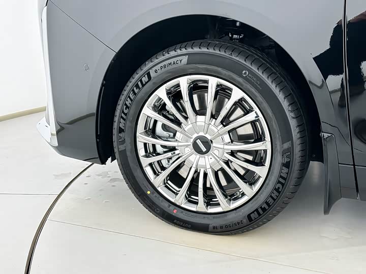 Фото 5 - Wey Gaoshan