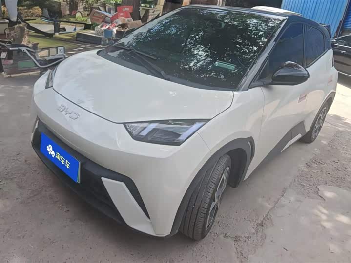 Фото 1 - BYD Seagull