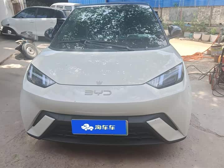 Фото 2 - BYD Seagull