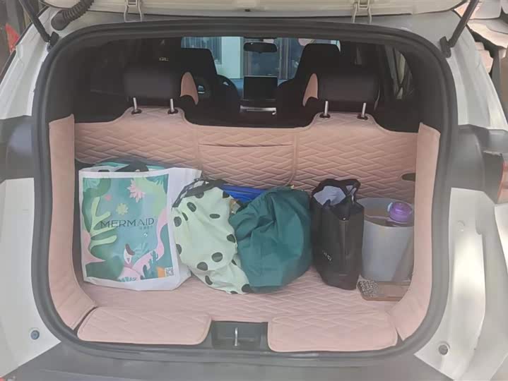 Фото 4 - BYD Seagull