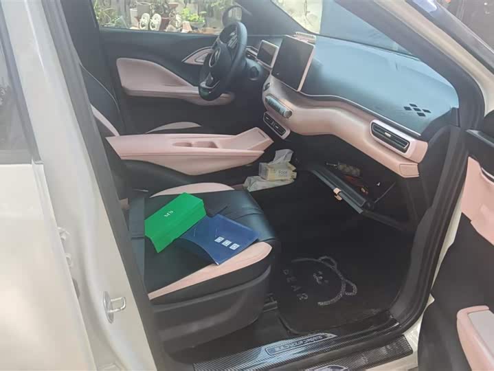 Фото 8 - BYD Seagull