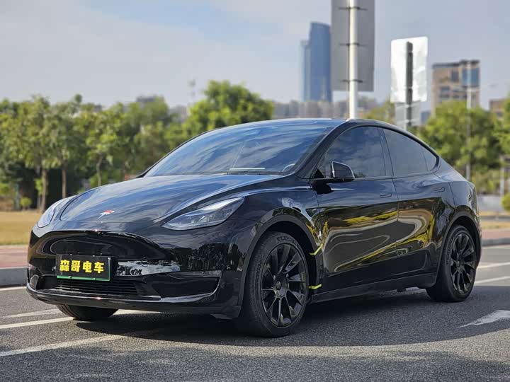 Фото 1 - Tesla Model Y