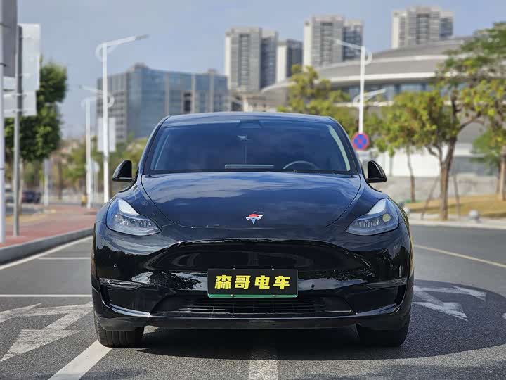 Фото 2 - Tesla Model Y