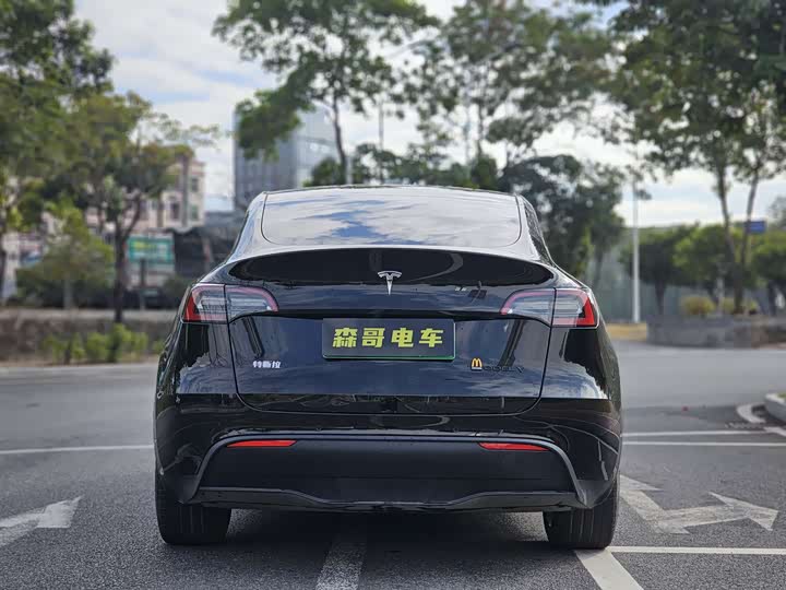 Фото 5 - Tesla Model Y