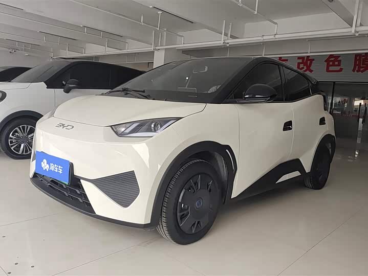 Фото 1 - BYD Seagull