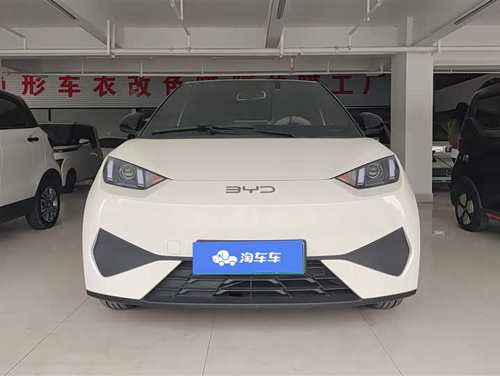 Фото 2 - BYD Seagull