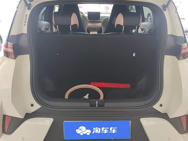 Фото 4 - BYD Seagull