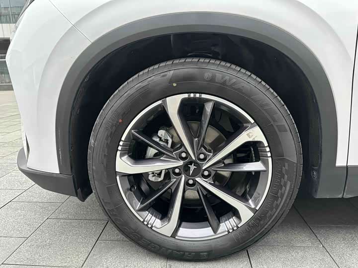 Фото 6 - Hedmos 06