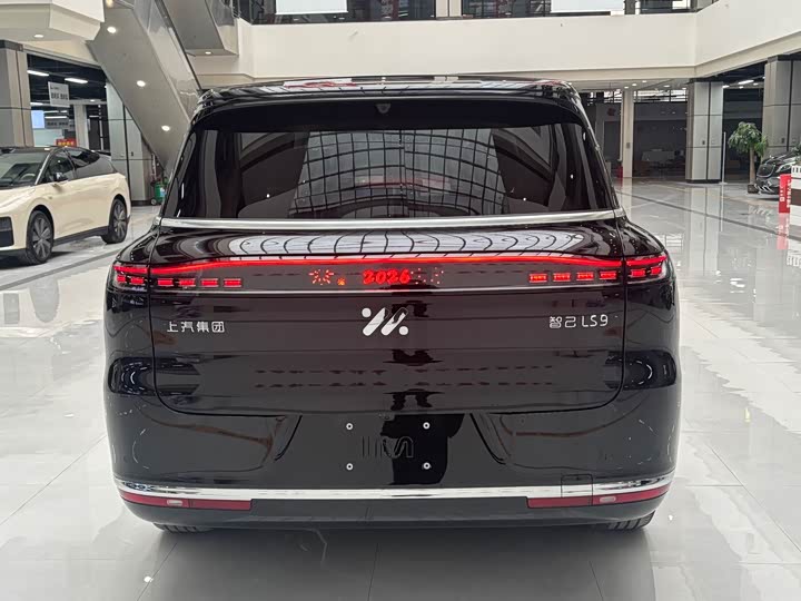 Фото 5 - IM motors LS9