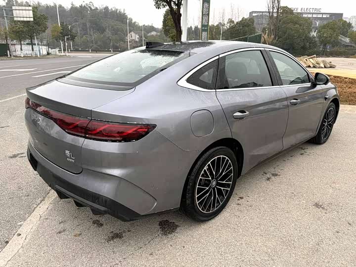 Фото 7 - BYD Qin L