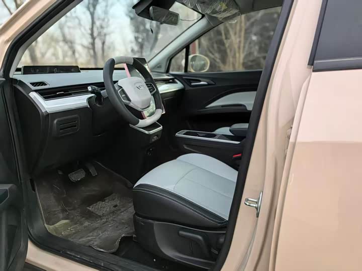 Фото 4 - Hozon AYA