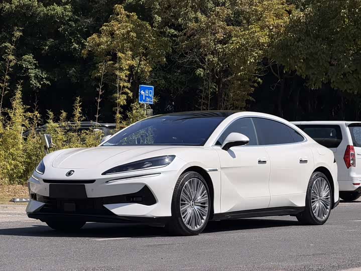 Фото 1 - Denza Z9