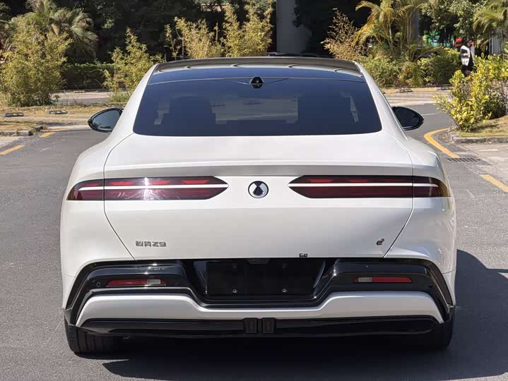 Фото 5 - Denza Z9