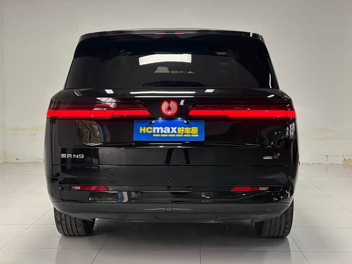 Фото 5 - Denza N9