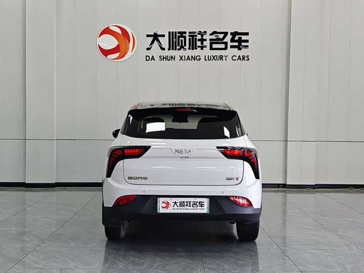 Фото 4 - Hozon V